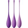 Set Kegel FANTASY FOR HER - antrenament cu greutăți