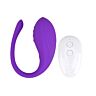 Vibrator Loving Joy Ou Controlat de la Distanță