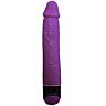 Vibrator Baile Colorful 23 cm Multivelocitate