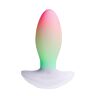 Vibrator Paradise Pleasure Products The Plug cu iluminare RGB