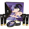 Kituri Cosmetice SHUNGA KITS Secret Geisha pentru escapade romantice