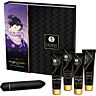 Kit de Pereche SHUNGA Geisha Naughty cu 10 viteze