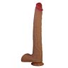 DILDOS TERIN PLUS Dildo realist cu ventuză