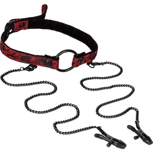 Mordaza cu Pinze Scandal | Control și Plăcere în BDSM