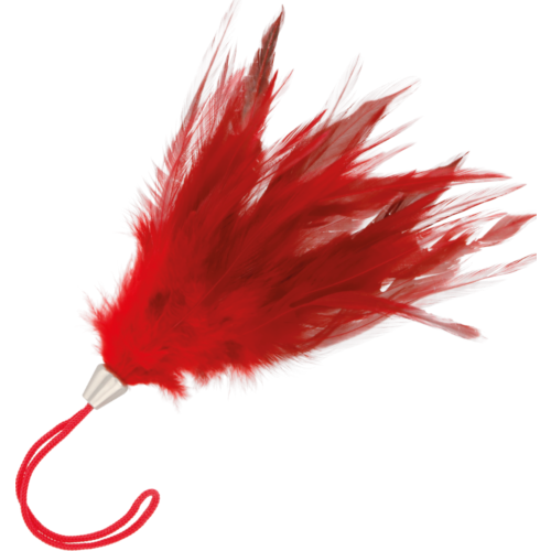 Pluma Stimulator DARKNESS 20cm pentru joaca erotică